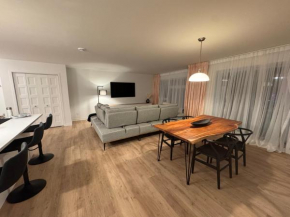 1 bedroom apt